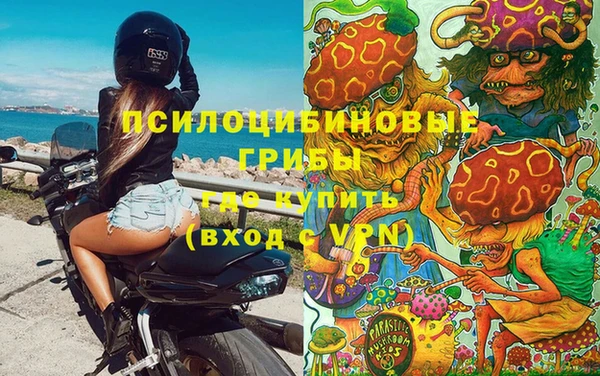 гидра Абдулино