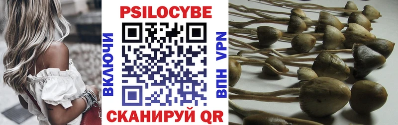 мега онион  где продают наркотики  Дивногорск  Псилоцибиновые грибы MAGIC MUSHROOMS 